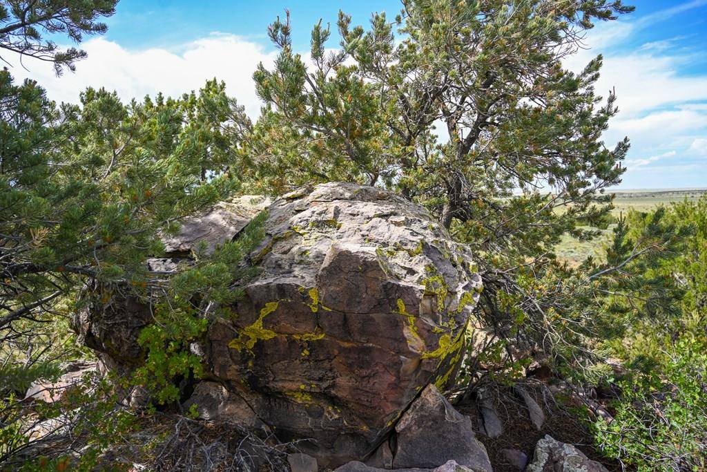 Walsenburg, CO 81089,24 & 26 Turkey Ridge Ranch