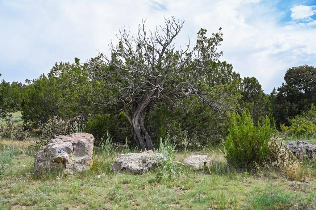 Walsenburg, CO 81089,24 & 26 Turkey Ridge Ranch