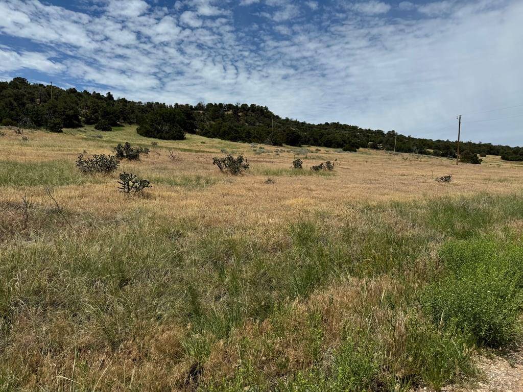 Walsenburg, CO 81089,TBD Badger Rd