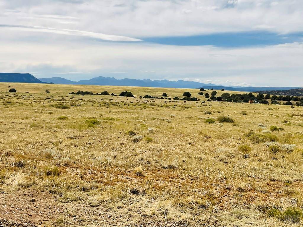 Walsenburg, CO 81089,Lot 291 Black Hills