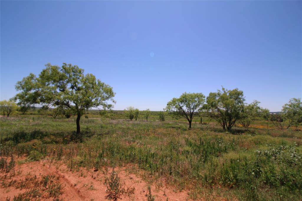 Tuscola, TX 79562,Lot 8 Marshal Trail