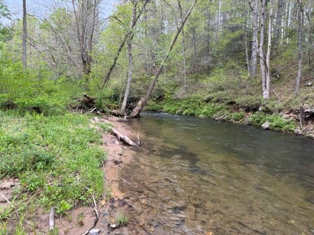 Suches, GA 30572,3.92Acre Double Creek Drive