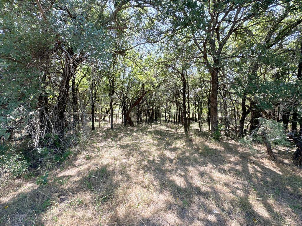 Bridgeport, TX 76426,TBD Cheyenne Drive