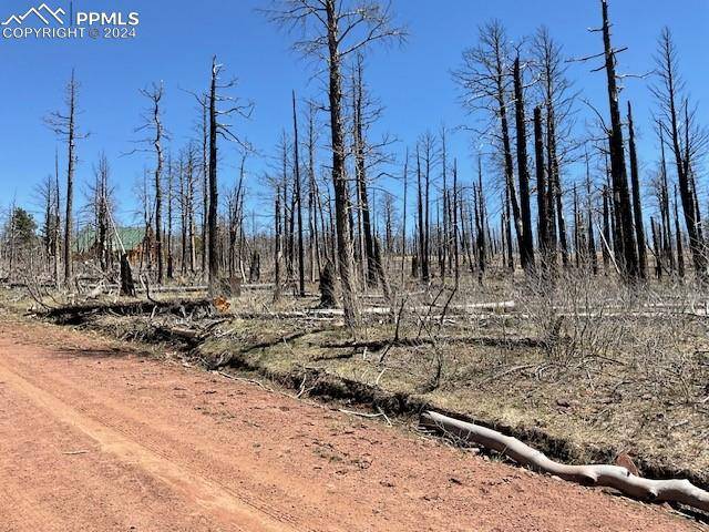 Fort Garland, CO 81133,2252 Port LOOP