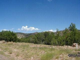 Canon City, CO 81212,507 Greenhorn Drive