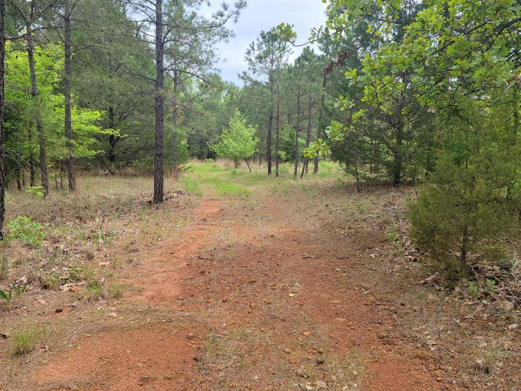 Hughes Springs, TX 75656,TBD Fm 250 N