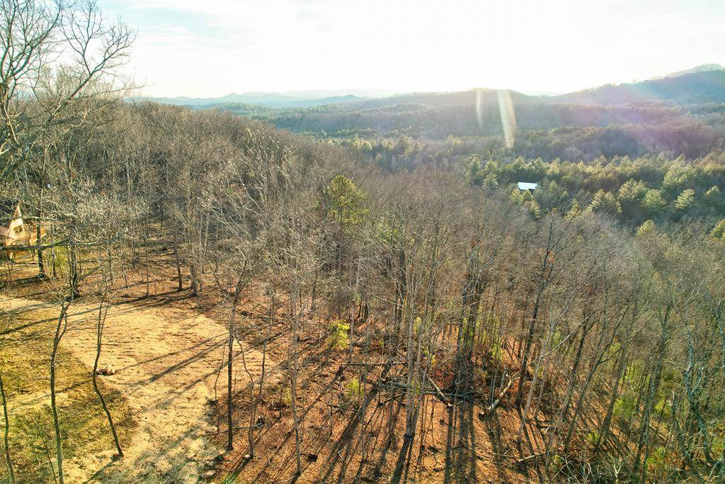 Mineral Bluff, GA 30559,LOT 1 Salem Ridge