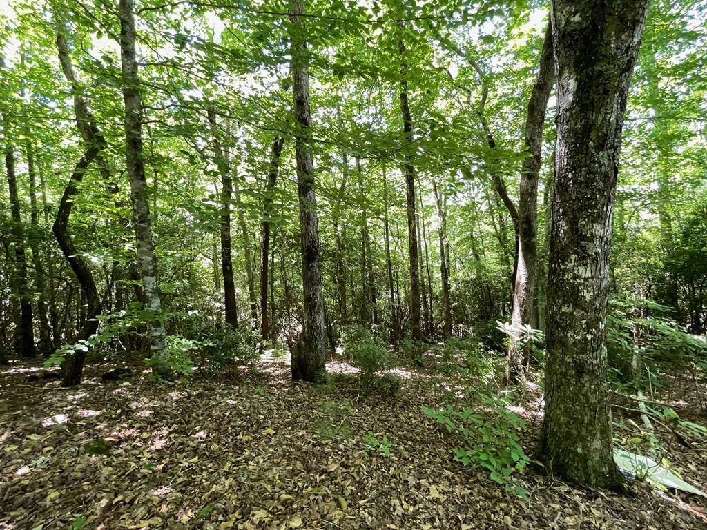 Hiawassee, GA 30546,Lot 2 Gateway Drive