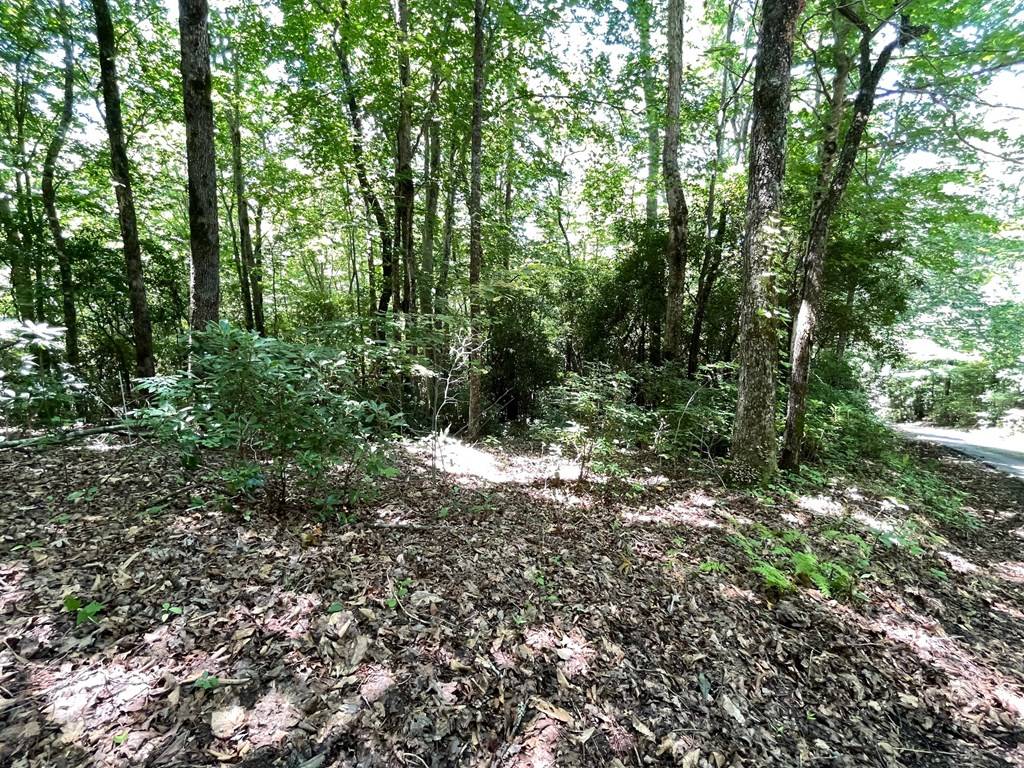 Hiawassee, GA 30546,Lot 2 Gateway Drive