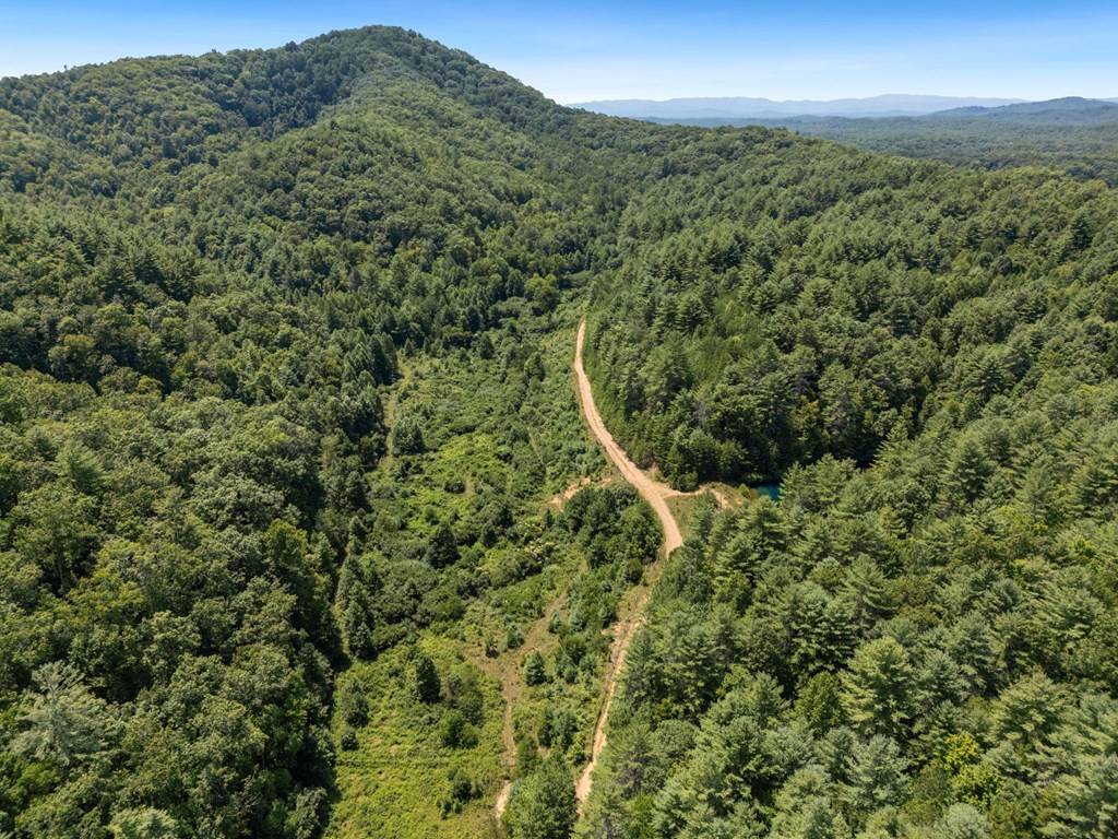 Mineral Bluff, GA 30559,80 ACRE Shangri La Drive