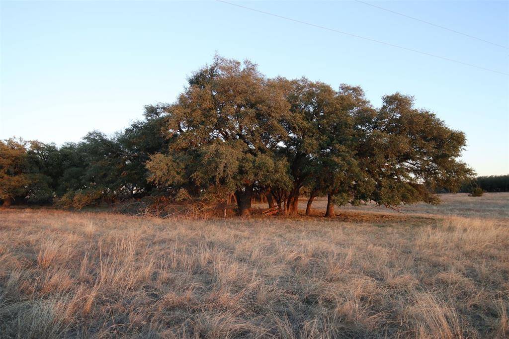 Evant, TX 76525,4125 CR 523-Tract 6