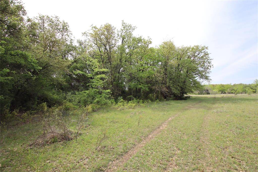 Hamilton, TX 76531,TBD CR 210-Randy Tract 5