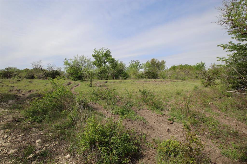 Hamilton, TX 76531,TBD CR 210-Wallace Tract 7