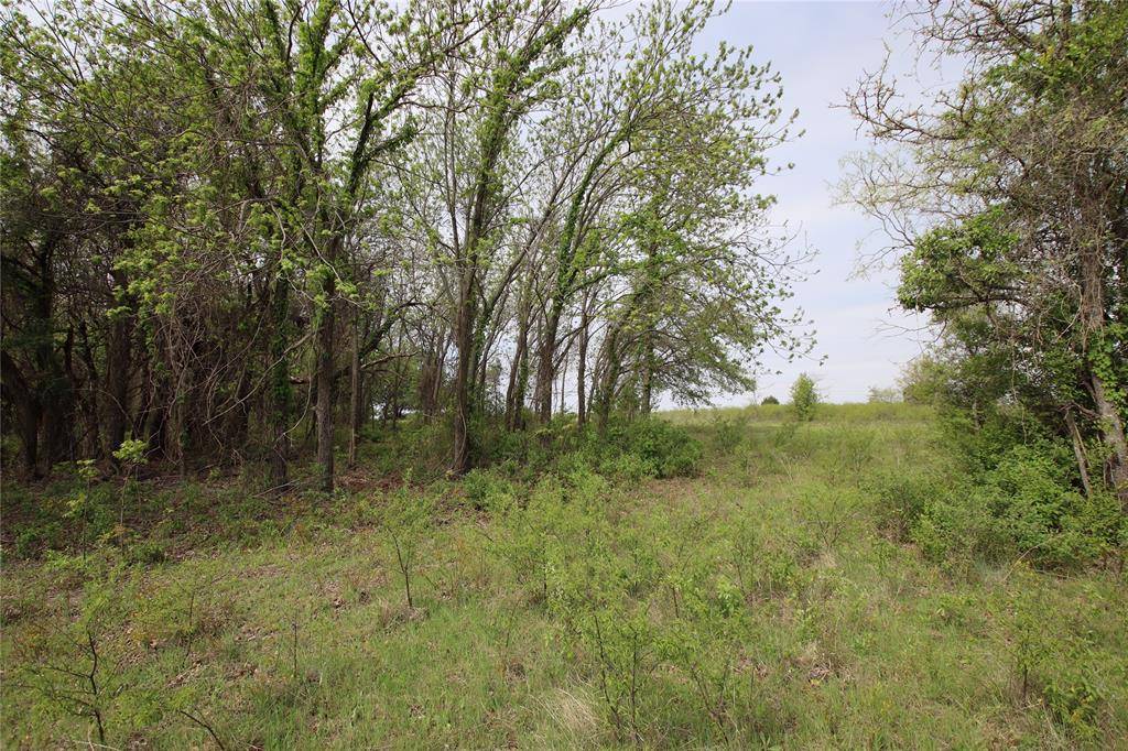 Hamilton, TX 76531,TBD CR 210-Wallace Tract 7