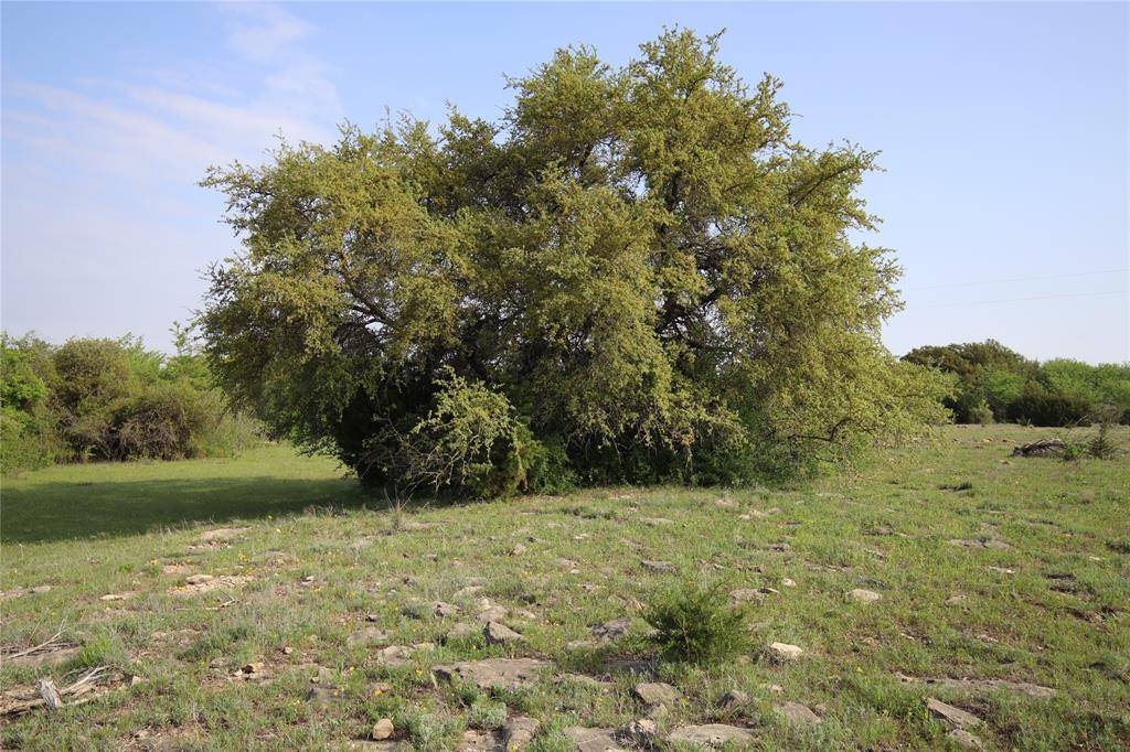 Hamilton, TX 76531,TBD CR 210-Max Tract 9