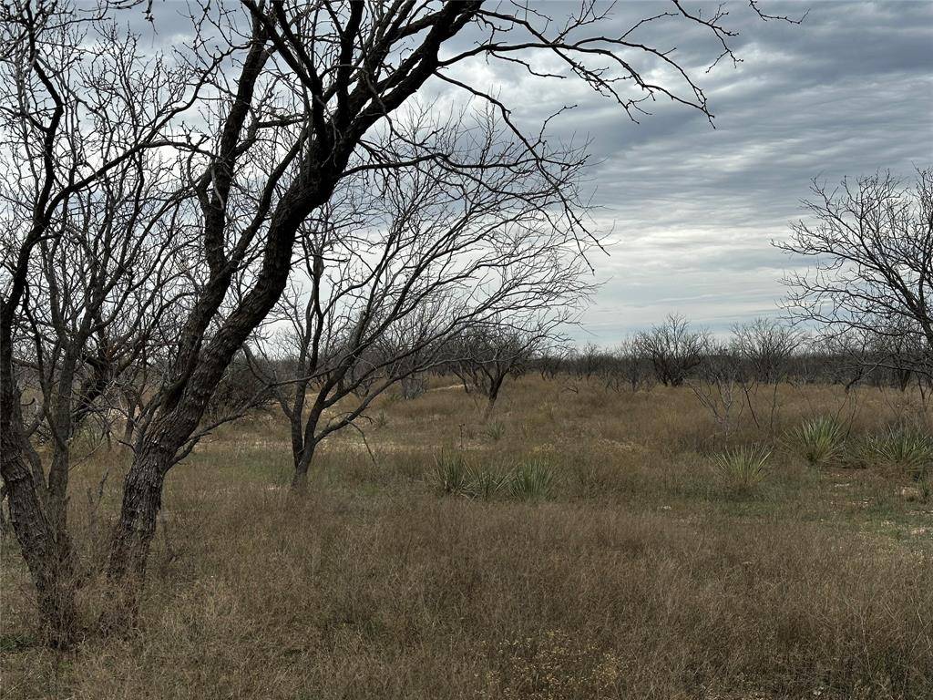 Abilene, TX 79601,Tract 10 CR 107