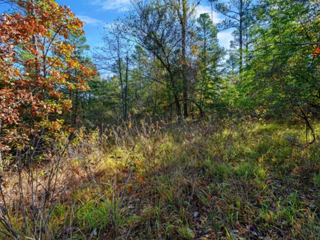 Broken Bow, OK 74728,00 TBD Prickly Pine Trail