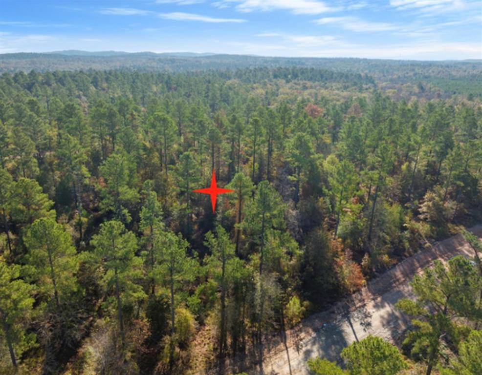 Broken Bow, OK 74728,00 TBD Prickly Pine Trail