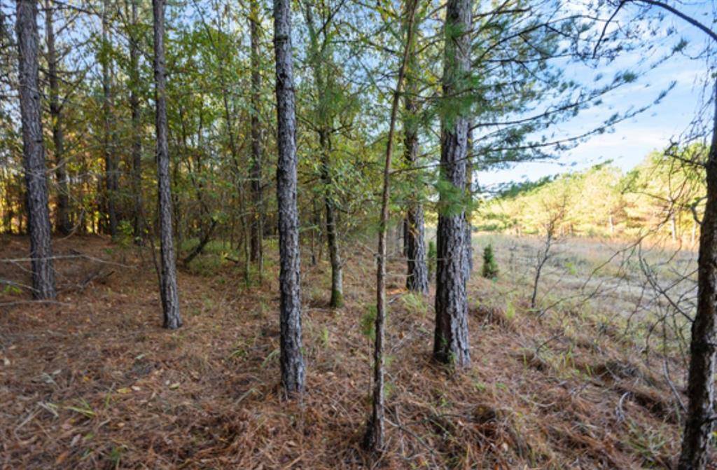 Broken Bow, OK 74728,0 TBD Springwood Trail