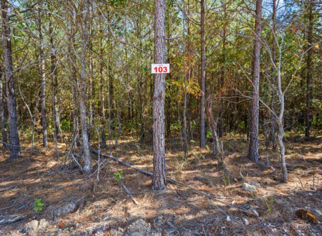 Broken Bow, OK 74728,0 TBD Wolftree Trail