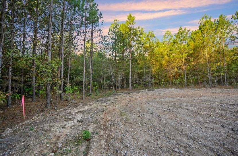 Broken Bow, OK 74728,000 TBD Whispering Willow Trail