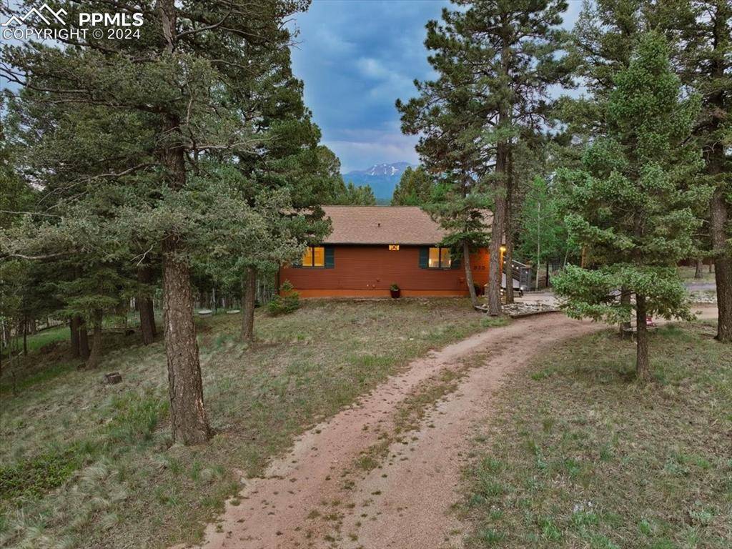 Divide, CO 80814,313 Blue Mesa DR