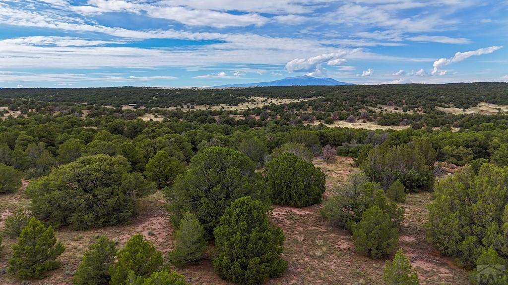 Walsenburg, CO 81089,Lot 79 Comanche