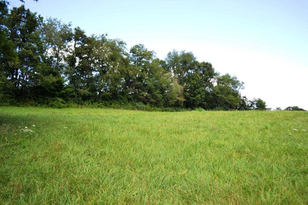 Wytheville, VA 24382,Lot 19 S Petunia Road