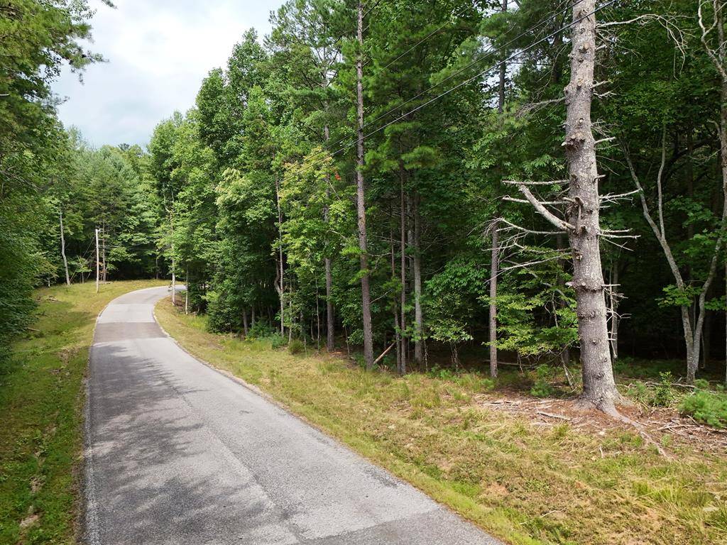 Blairsville, GA 30512,7.61 AC Hawks Nest Road