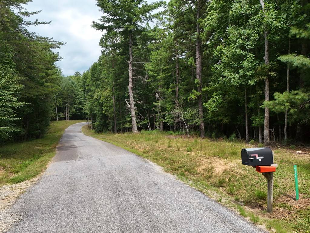 Blairsville, GA 30512,7.61 AC Hawks Nest Road