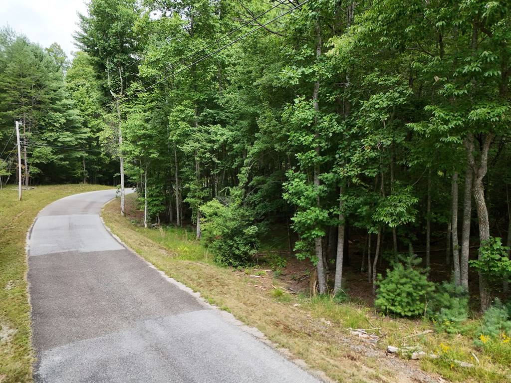 Blairsville, GA 30512,7.61 AC Hawks Nest Road