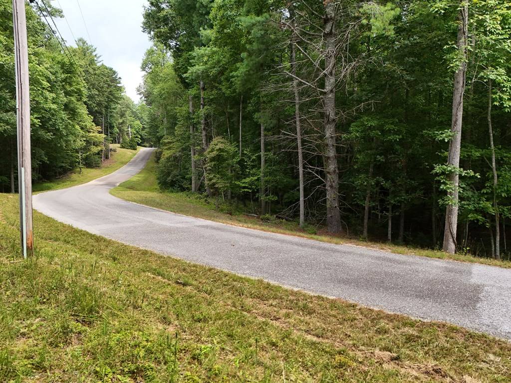 Blairsville, GA 30512,7.61 AC Hawks Nest Road