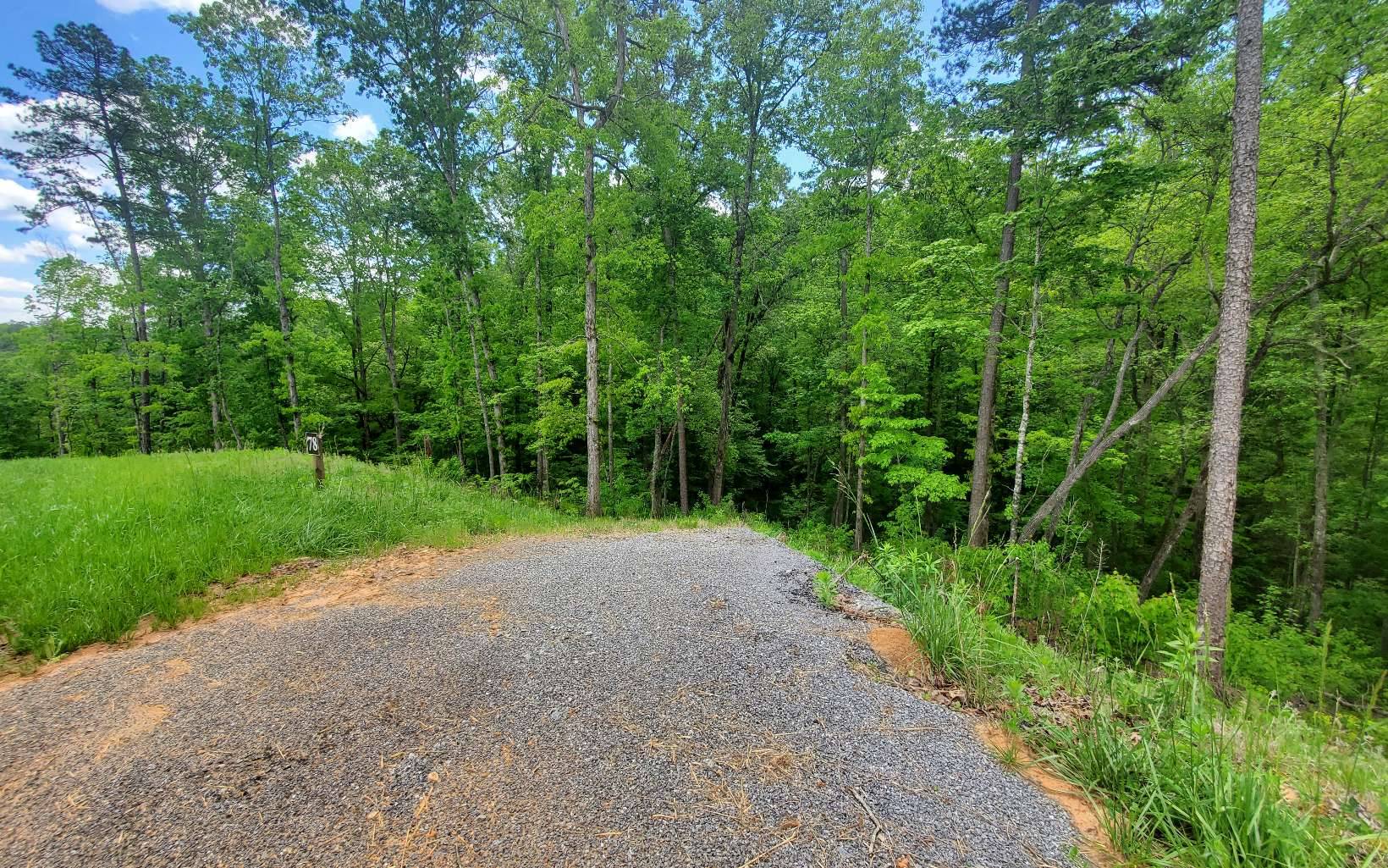 Ellijay, GA 30540,LT 78 Jakes Landing Overlook