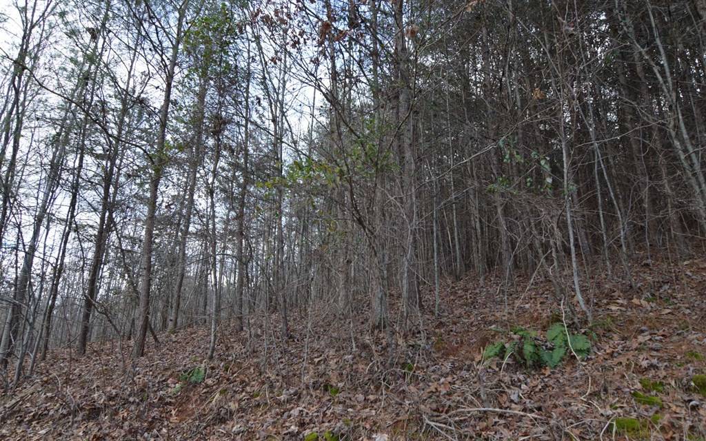 Hiawassee, GA 30546,Lot 4 Brer Fox Ridge