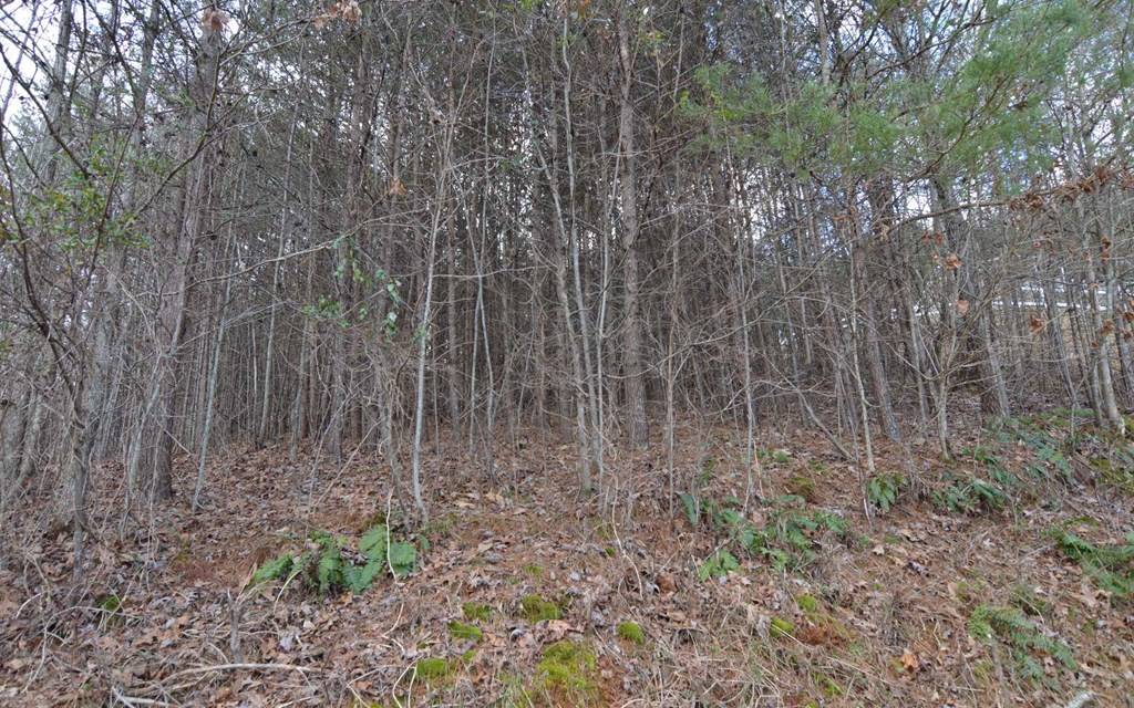 Hiawassee, GA 30546,Lot 4 Brer Fox Ridge