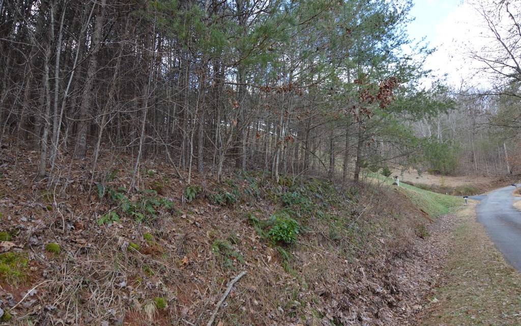 Hiawassee, GA 30546,Lot 4 Brer Fox Ridge