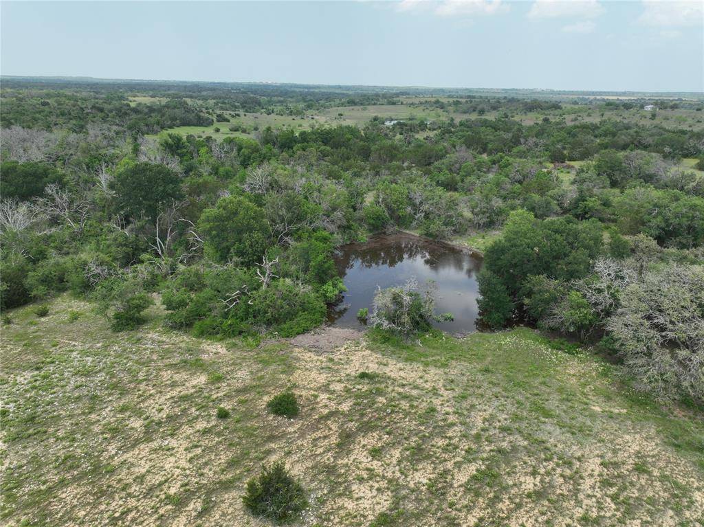 Pottsville, TX 76565,TBD FM 221 - Tract 2