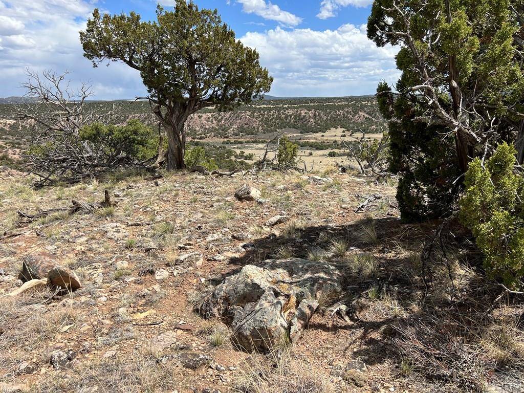 Gardner, CO 81040,27 Colorado Land and Grazing