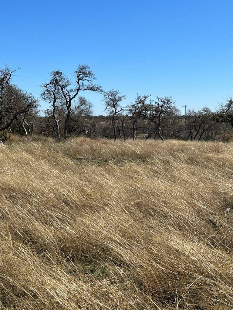 Fredericksburg, TX 78624,Lot 5 -- Longview Dr