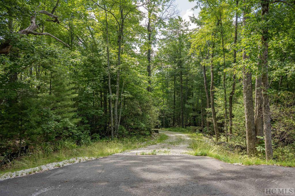 Cashiers, NC 28717,Lot V3 East Ridge Road