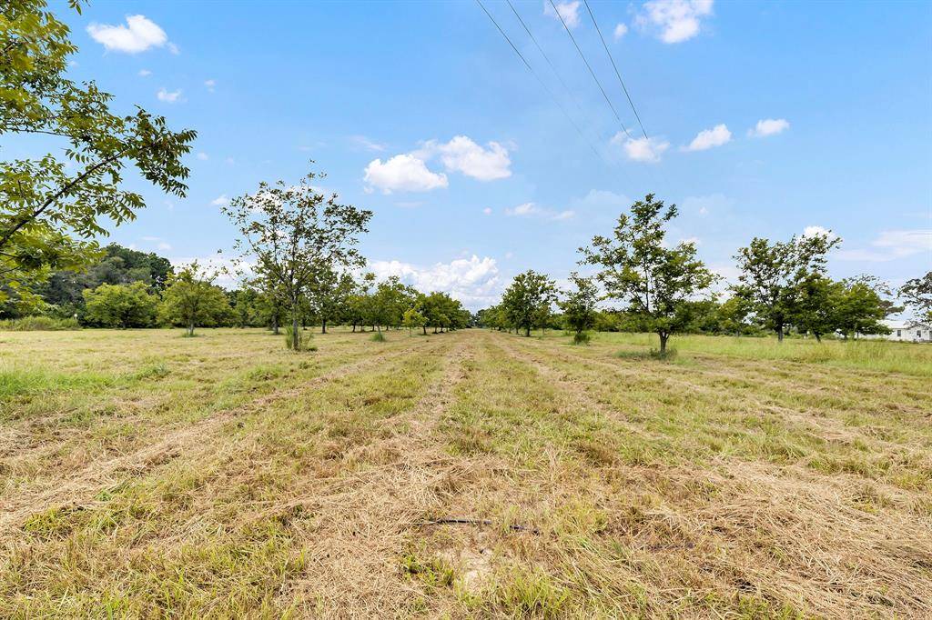 Athens, TX 75752,7397 FM-1803 Road