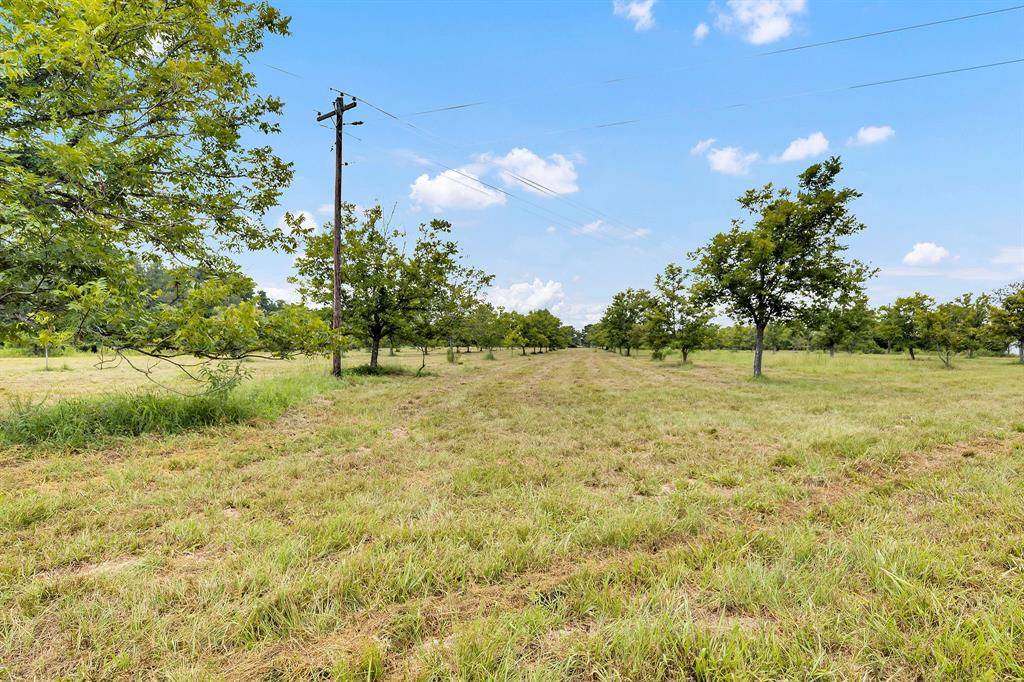 Athens, TX 75752,7397 FM-1803 Road