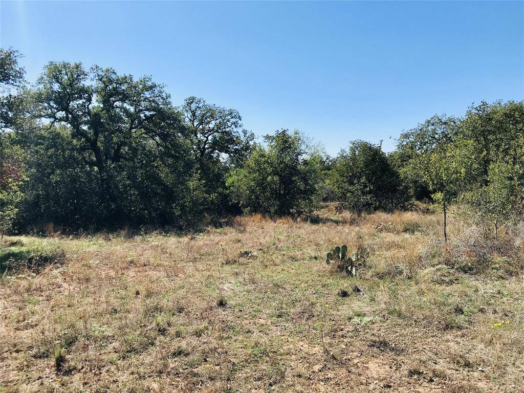 Brownwood, TX 76801,15169 County Road 129