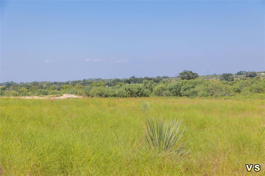 Blanket, TX 76432,lot 2 8288 County Road 329