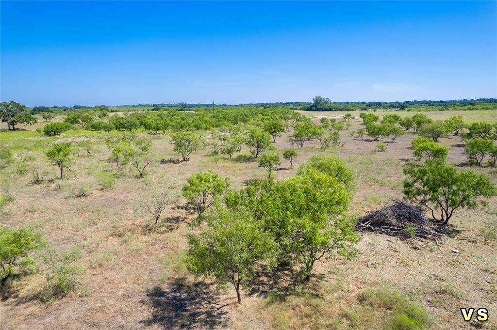 Blanket, TX 76432,lot 2 8288 County Road 329