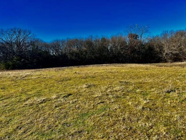 Bells, TX 75414,10 Ac Fm 1753 Highway