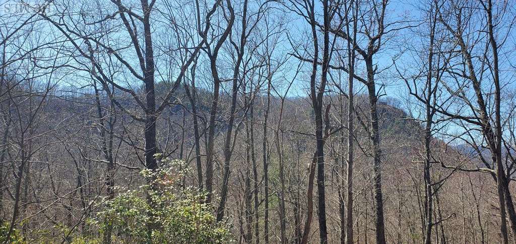 Glenville, NC 28736,Lot 3 Ridgemont Road