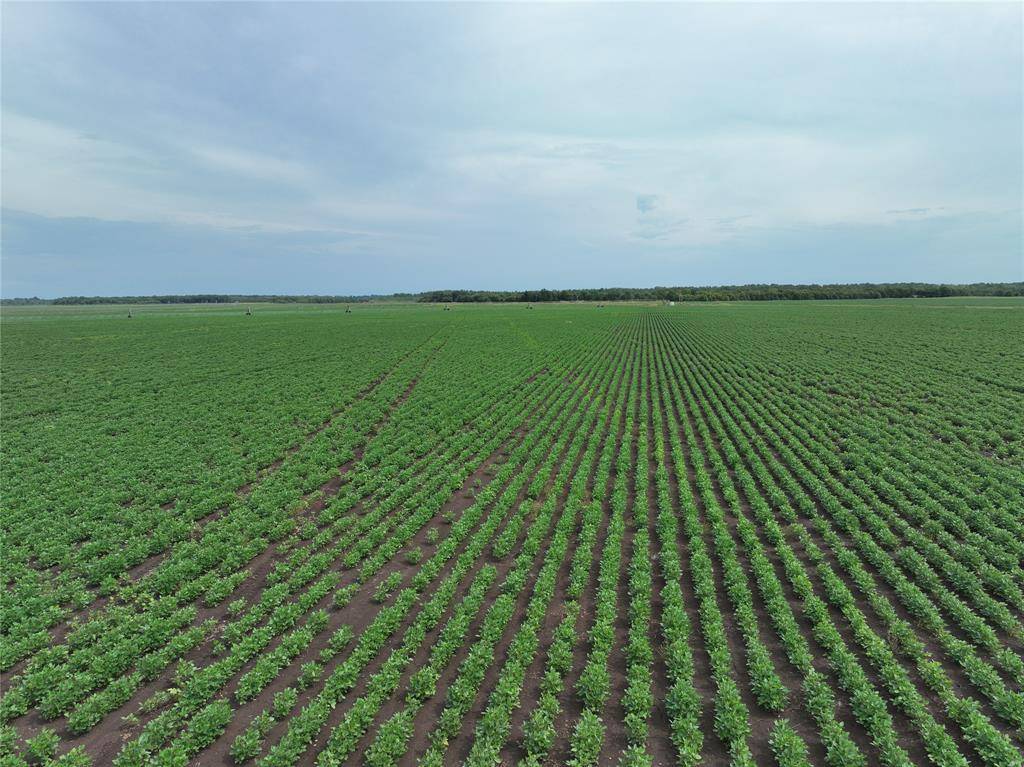 De Kalb, TX 75559,TBD County Road 3302