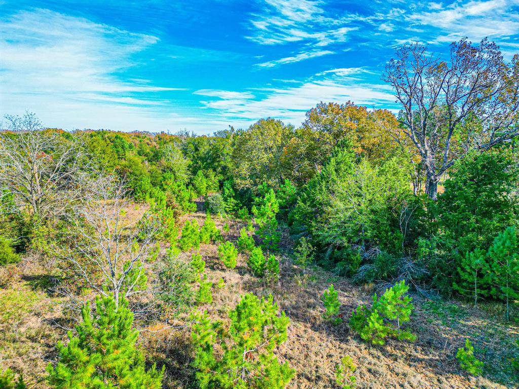 Fairfield, TX 75840,TBD FCR 257