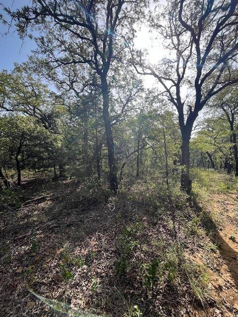 Bowie, TX 76230,657 Sandy Creek Road